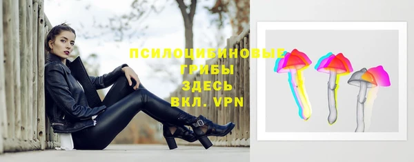 ешки Аркадак