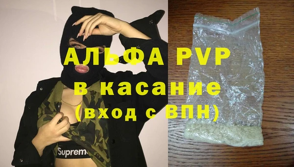 ешки Аркадак