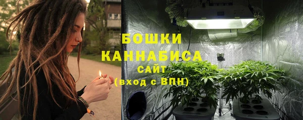 ешки Аркадак
